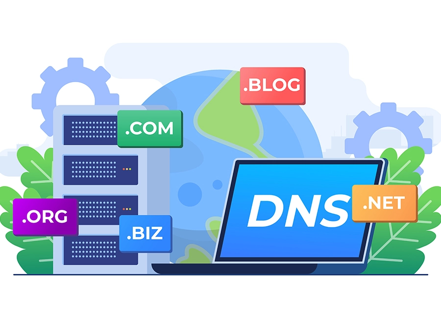 Domain Management Expert in India