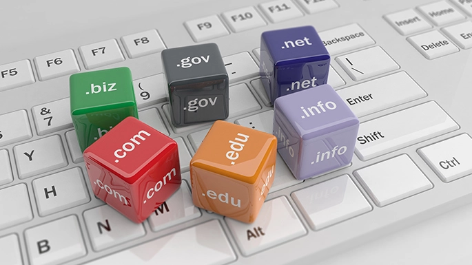 Domain Management Expert in India